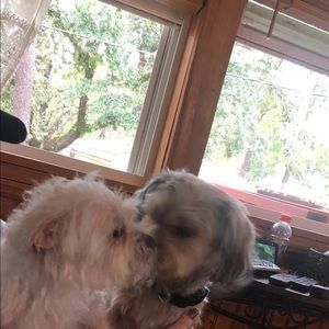 Meet your Posher, Cammy